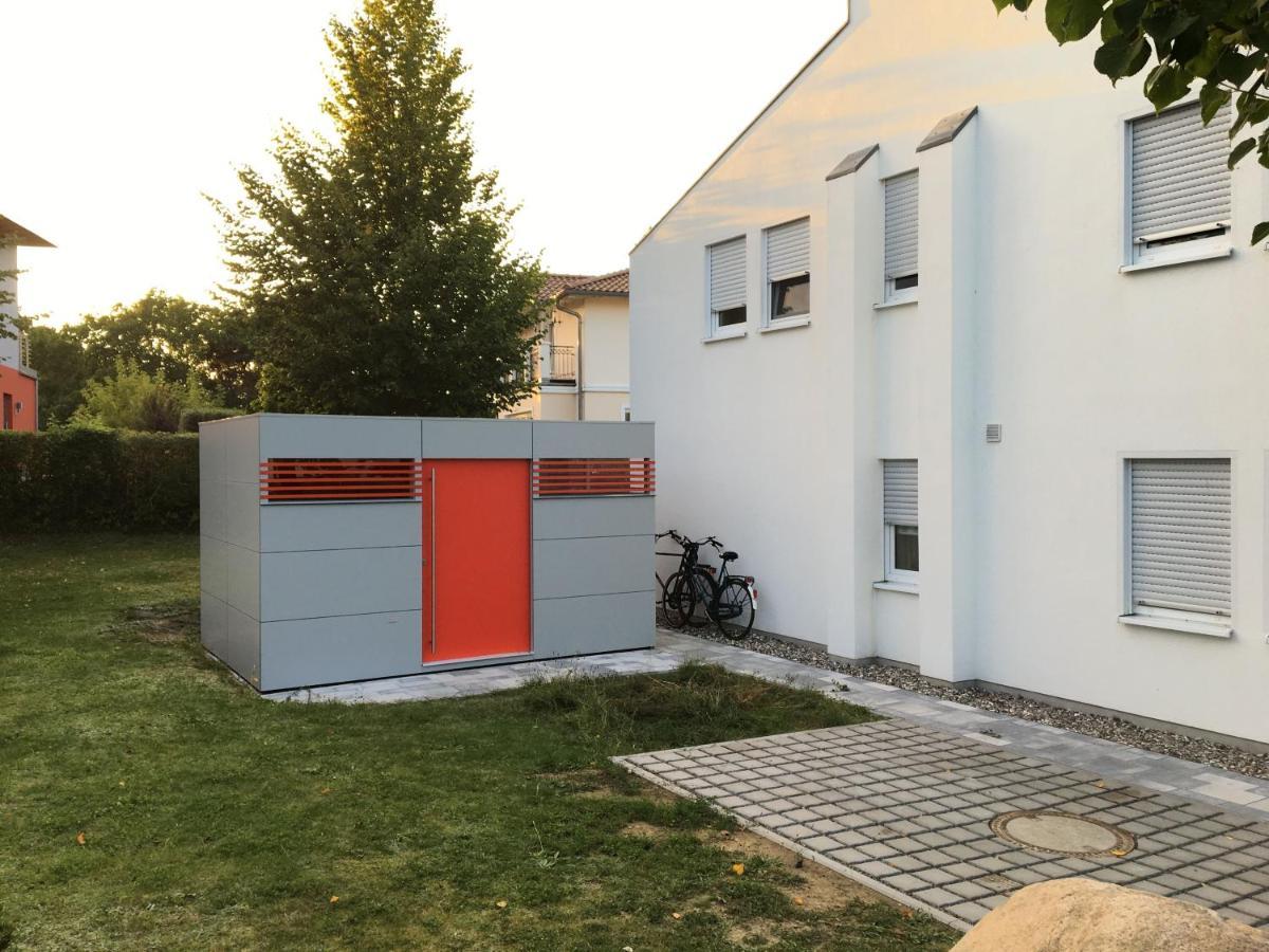 Amselstern Binz